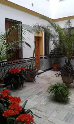 Jardín al aire libre en Córdoba centro esencia cordobesa. Mezquita