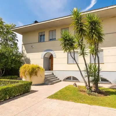 La casa del olivo en Córdoba