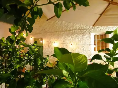 Jardín al aire libre en Casa Shyshka country cottage