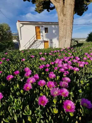 Jardín al aire libre en Casita of Casa Olivar
