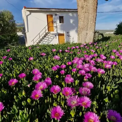 Casita of Casa Olivar