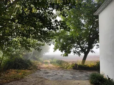 Jardín al aire libre en Complejo Apartamentos Rurales Molino de Abajo
