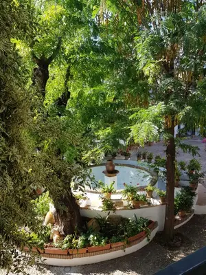 Jardín al aire libre en Patio andaluz siglo XVI