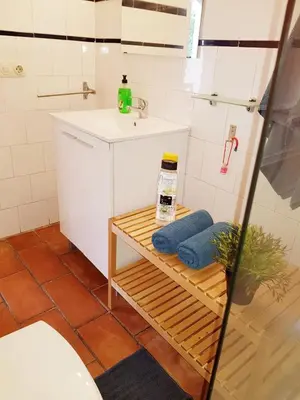 Un baño de Patio andaluz siglo XVI