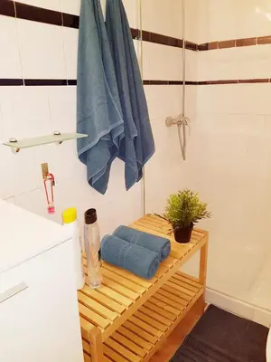 Un baño de Patio andaluz siglo XVI
