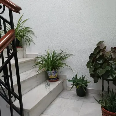 Plano de Medina Baguh (VFT)