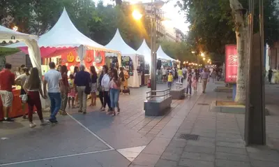 Clientes alojados en Aticos Concepción Centro