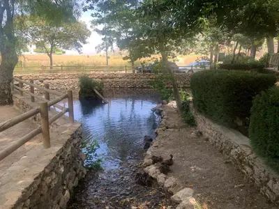Paisaje cerca de este apartamento