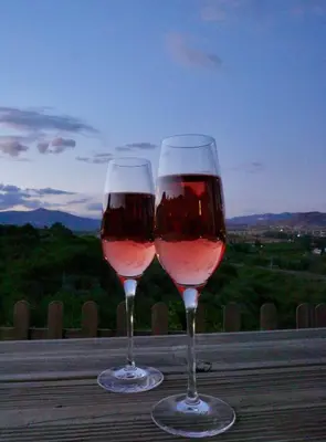 Bebidas en La Hermosa Vista