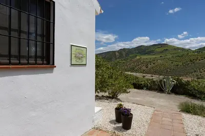 Vista general de una montaña o vista desde el bed & breakfast