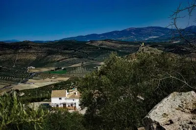 Paisaje cerca de este apartamento