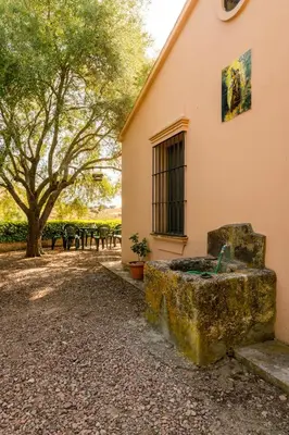 Jardín al aire libre en Cortijo El Carmen Finca El Revuelo
