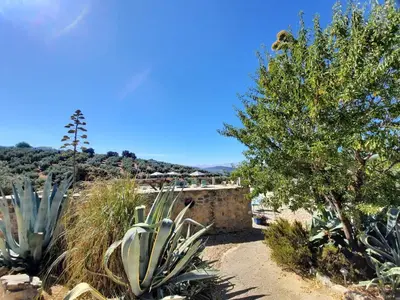 Paisaje cerca de este apartamento