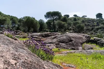 Paisaje cerca de esta casa o chalet