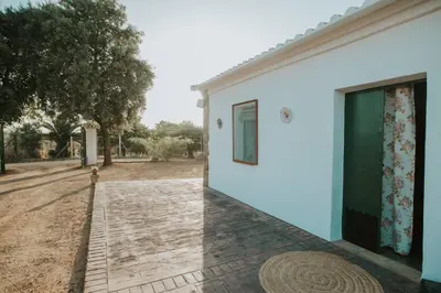 Edificio en el que se encuentra la casa o chalet