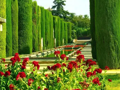 Jardín al aire libre en GRUPO LIMCOTEl PERLA 2