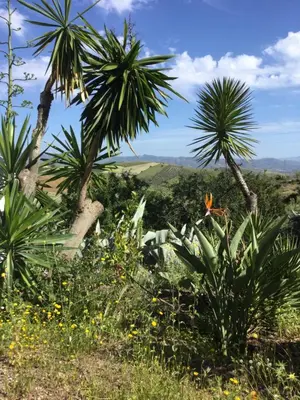 Paisaje cerca de esta casa o chalet
