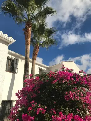 Jardín al aire libre en Cortijo Las Palmeras El Chorro