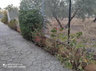 Jardín al aire libre en LOS ABUELOS