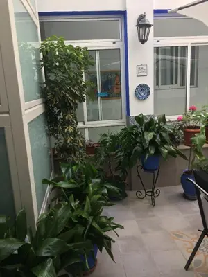 Jardín al aire libre en Pensión Guerrero