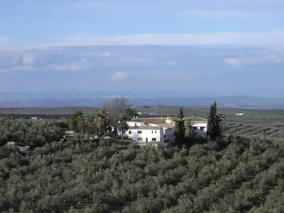 Paisaje cerca of this country house