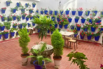 Jardín al aire libre en Apartamento Toril-Casco Histórico