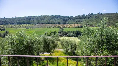 Paisaje cerca de esta casa o chalet