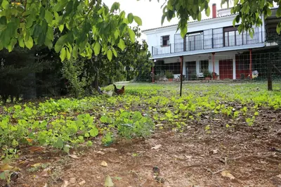 Jardín al aire libre en LOS NOGALES