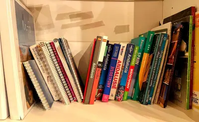 Biblioteca en el bed & breakfast