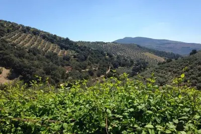 Paisaje cerca de esta villa