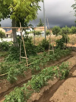 Jardín al aire libre en El Carmen