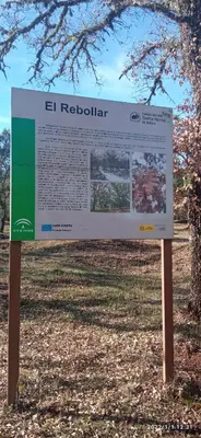 Plano de Casa Monte Los Peñasquitos