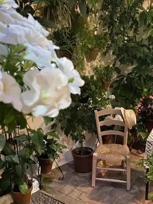 Jardín al aire libre en Ático Casa Lola