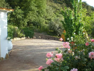 Paisaje cerca of this country house
