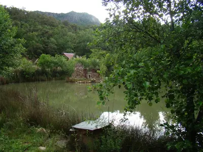 Paisaje cerca de este hotel
