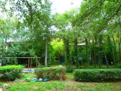 Jardín al aire libre en Hotel Sierra Madrona