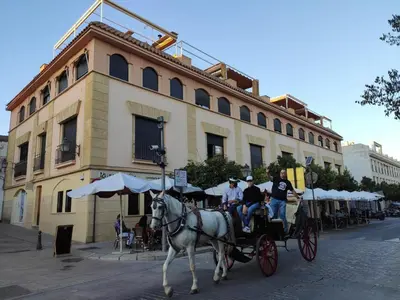 Clientes alojados en La terraza del Puente y Mezqt-Catedral