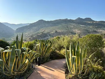 Paisaje cerca de este hotel