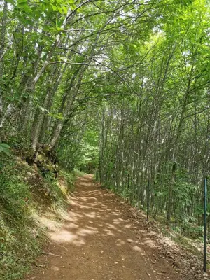 Paisaje cerca de esta casa o chalet