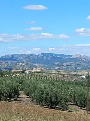 Paisaje cerca de esta villa