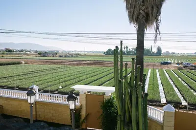 Jardín al aire libre en Casa Luxury 