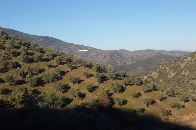 Paisaje cerca de esta casa o chalet