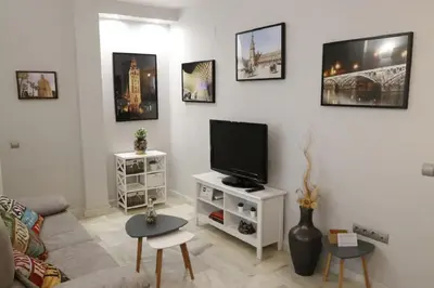 Una televisión o centro de entretenimiento en Apartamento Cristo de Burgos - Kainga Homes