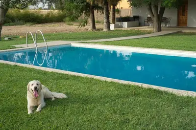Piscina en o cerca de Preciosa y confortable casa de campo con piscina y chimenea