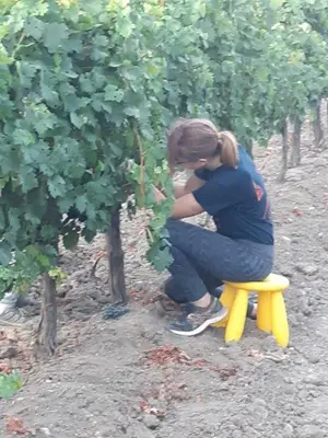 Clientes alojados en Cortijo Don Simón