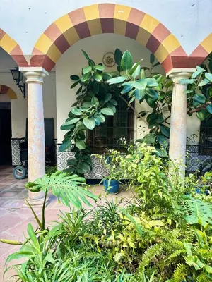 Jardín al aire libre en Apartamento tradición de la Corredera