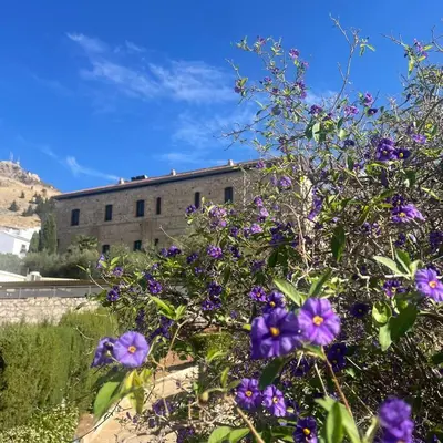 Paisaje cerca de este hotel
