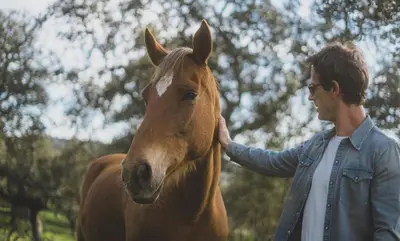 Animales en el hotel cápsula o alrededores