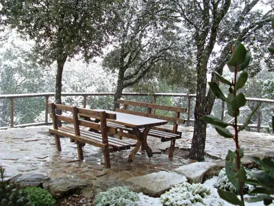 Casas Rurales Cortijos el Encinar en invierno