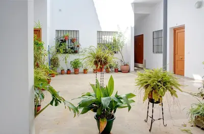 Jardín al aire libre en Estudio Plaza de la Encarnacion